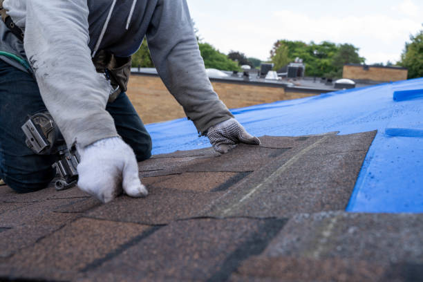 Best Best Roofing Contractors  in De Motte, IN