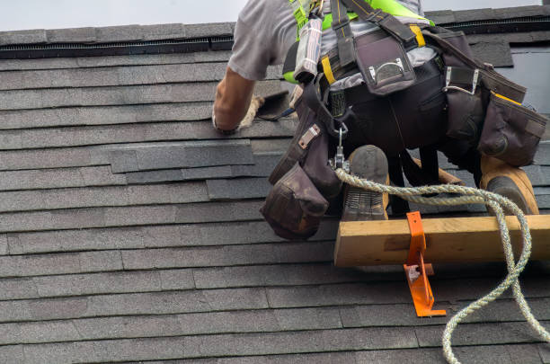 Best Storm Damage Roof Repair  in De Motte, IN
