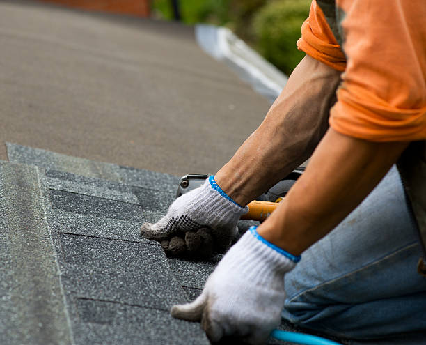 Best Roof Gutter Cleaning  in De Motte, IN