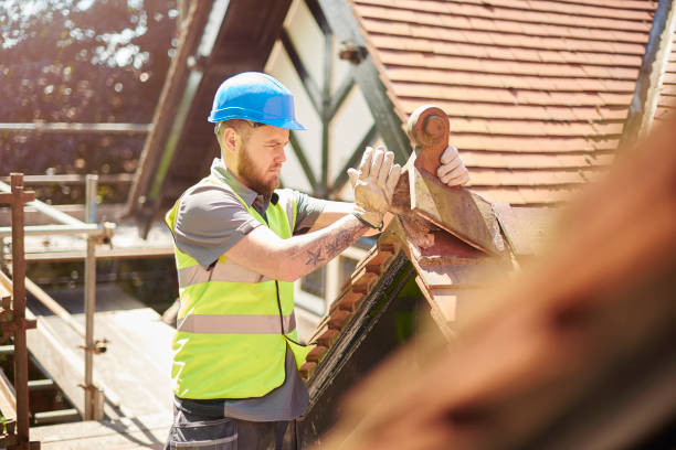 Best Roof Leak Repair  in De Motte, IN